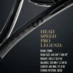 Head Speed Pro Legend 2024 310g